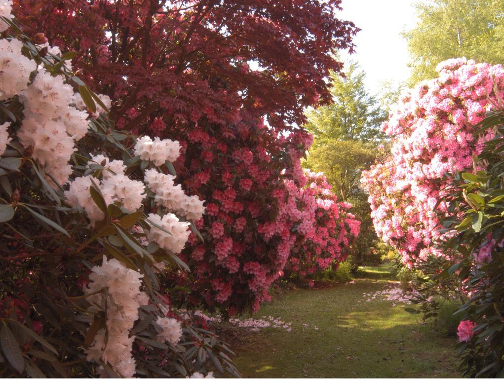 Muncaster Castle Coachman'S Quarters Bed & Breakfast Ravenglass Ngoại thất bức ảnh